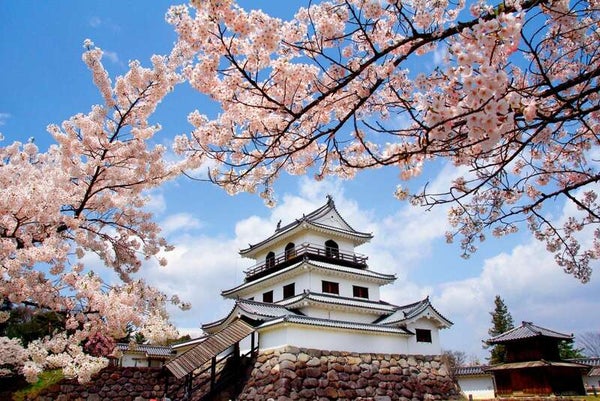 【敦賀駅・福井駅発】《日本100名城めぐり》 桜舞う! 日本100名城めぐり 南東北編 ~戊辰戦争ゆかりの地~(3日間)2